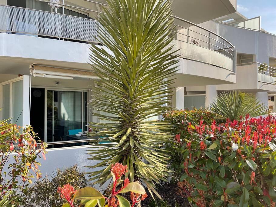 21 - Tres Agreable Rdc Avec Terrasse Et Parking Lejlighed Bandol Eksteriør billede