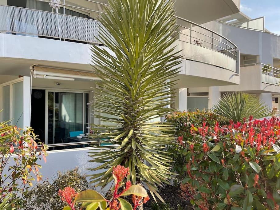 21 - Tres Agreable Rdc Avec Terrasse Et Parking Lejlighed Bandol Eksteriør billede