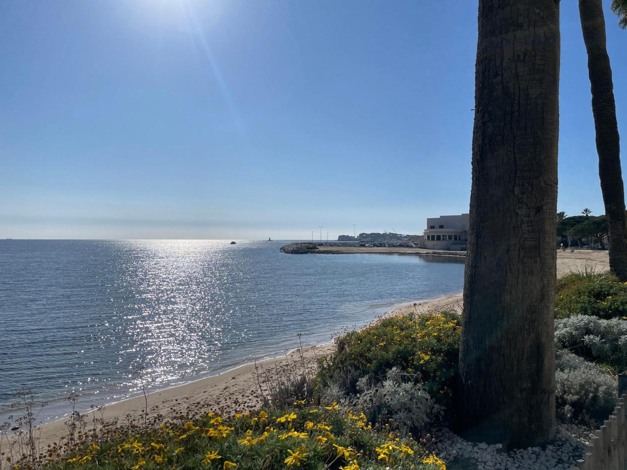21 - Tres Agreable Rdc Avec Terrasse Et Parking Lejlighed Bandol Eksteriør billede