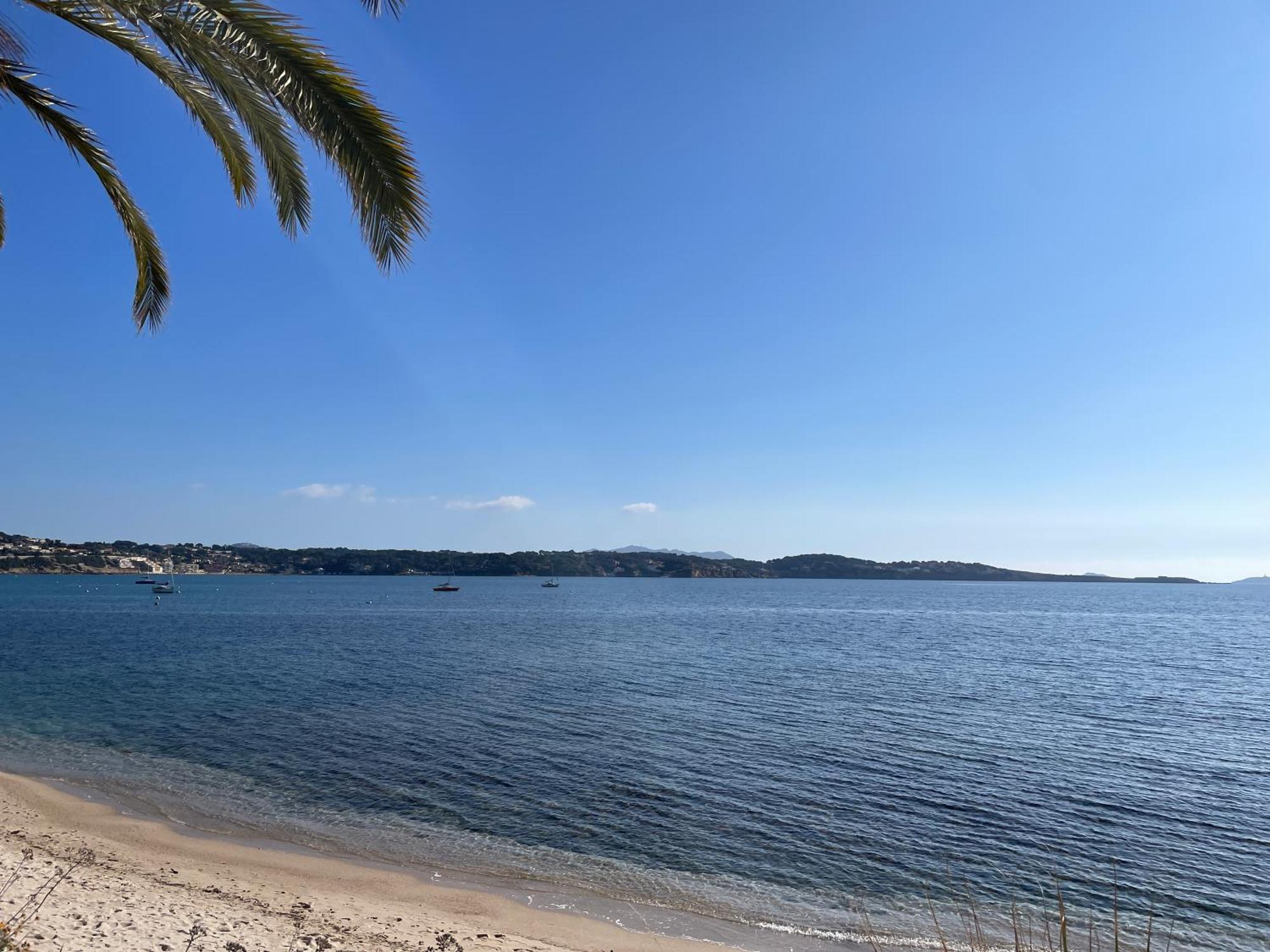 21 - Tres Agreable Rdc Avec Terrasse Et Parking Lejlighed Bandol Eksteriør billede